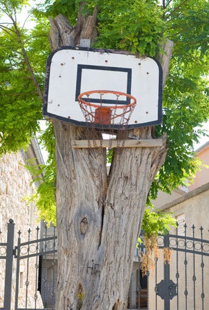 The basketball hoop in the back yard of Tang Chao
